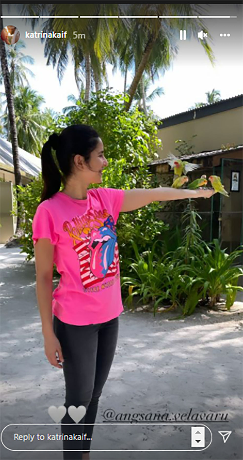 कटरीना कैफ