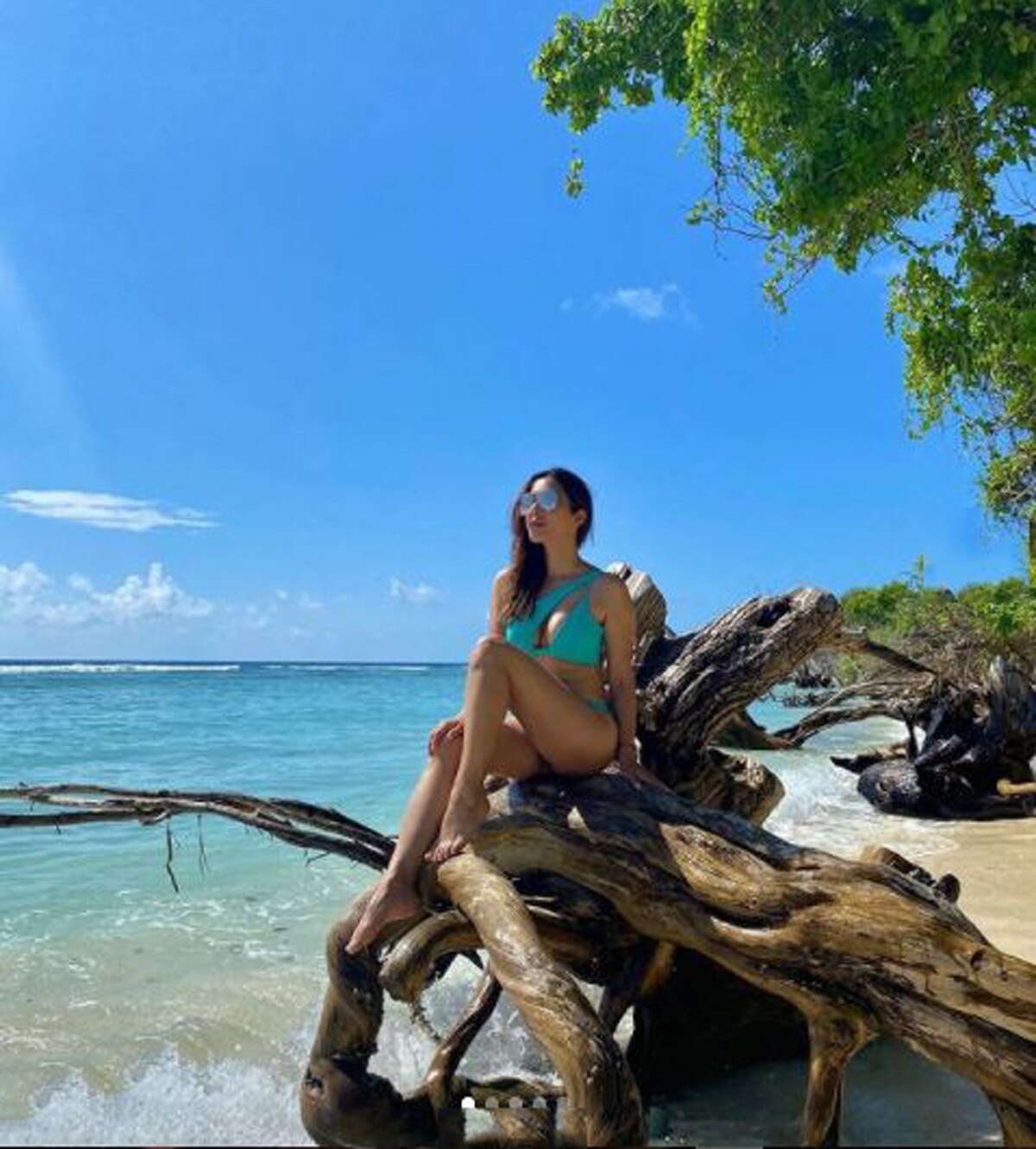 सोफी चौधरी