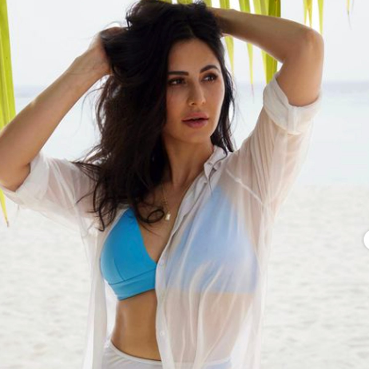 कटरीना कैफ