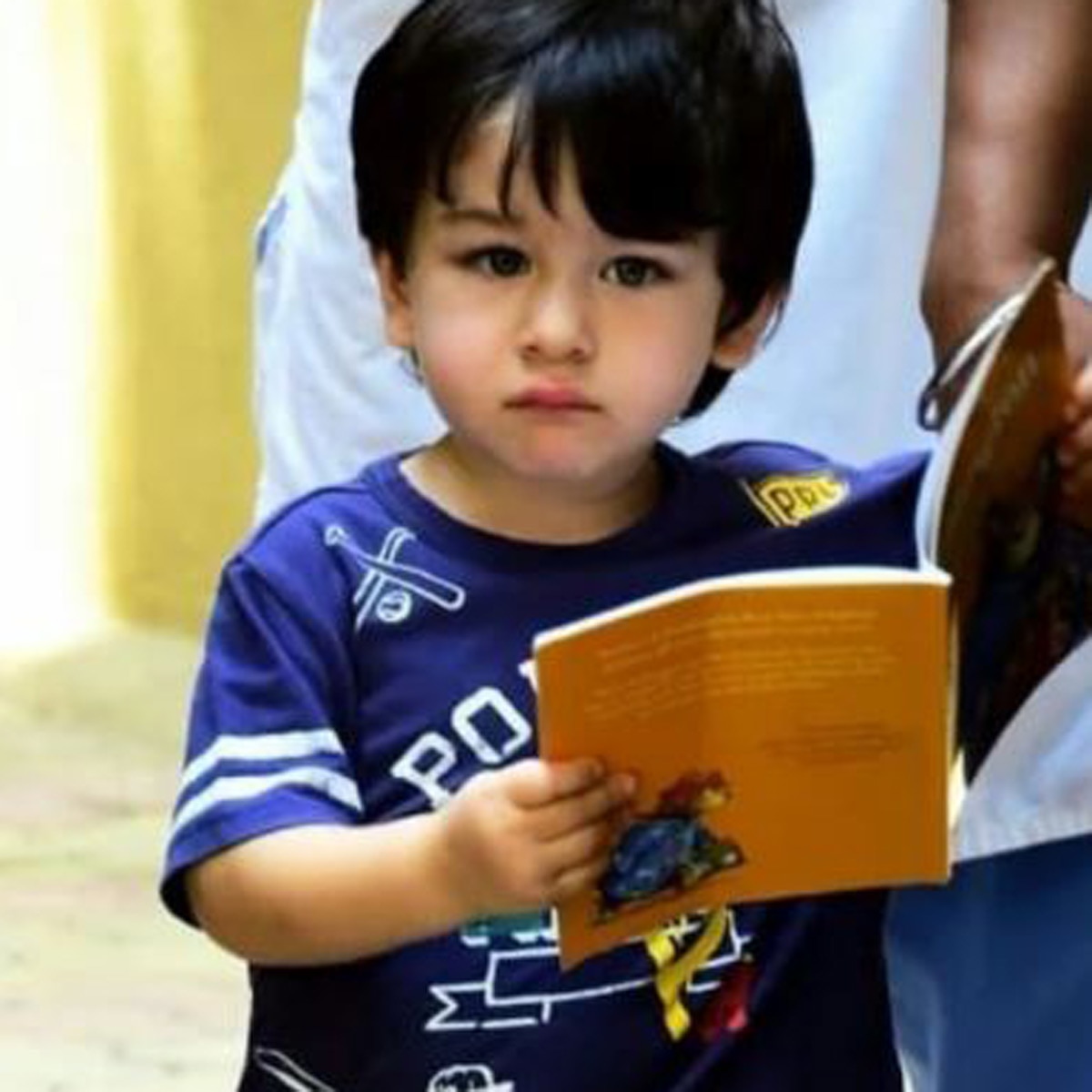 तैमूर अली खान