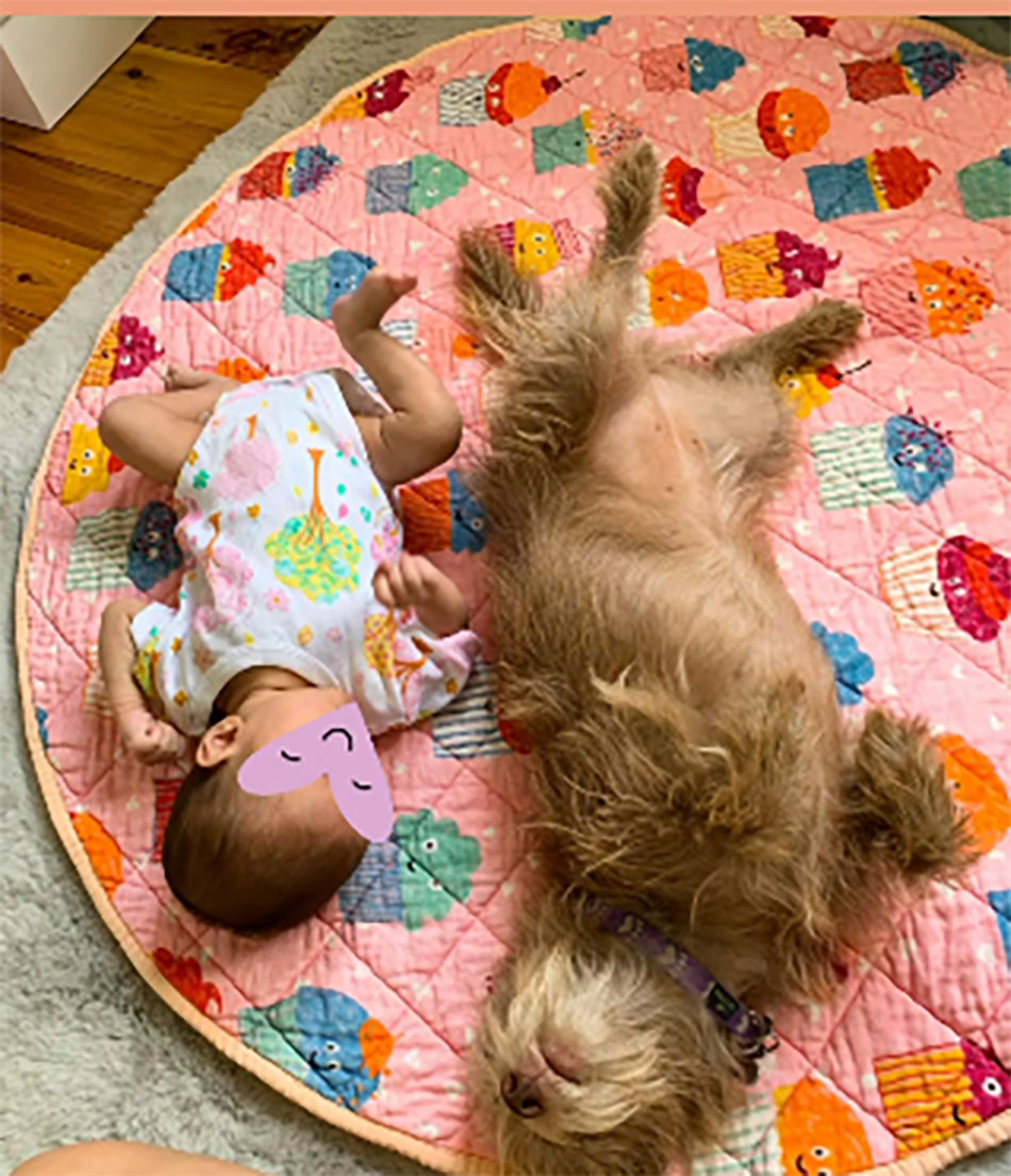 एवलिन शर्मा की बेटी