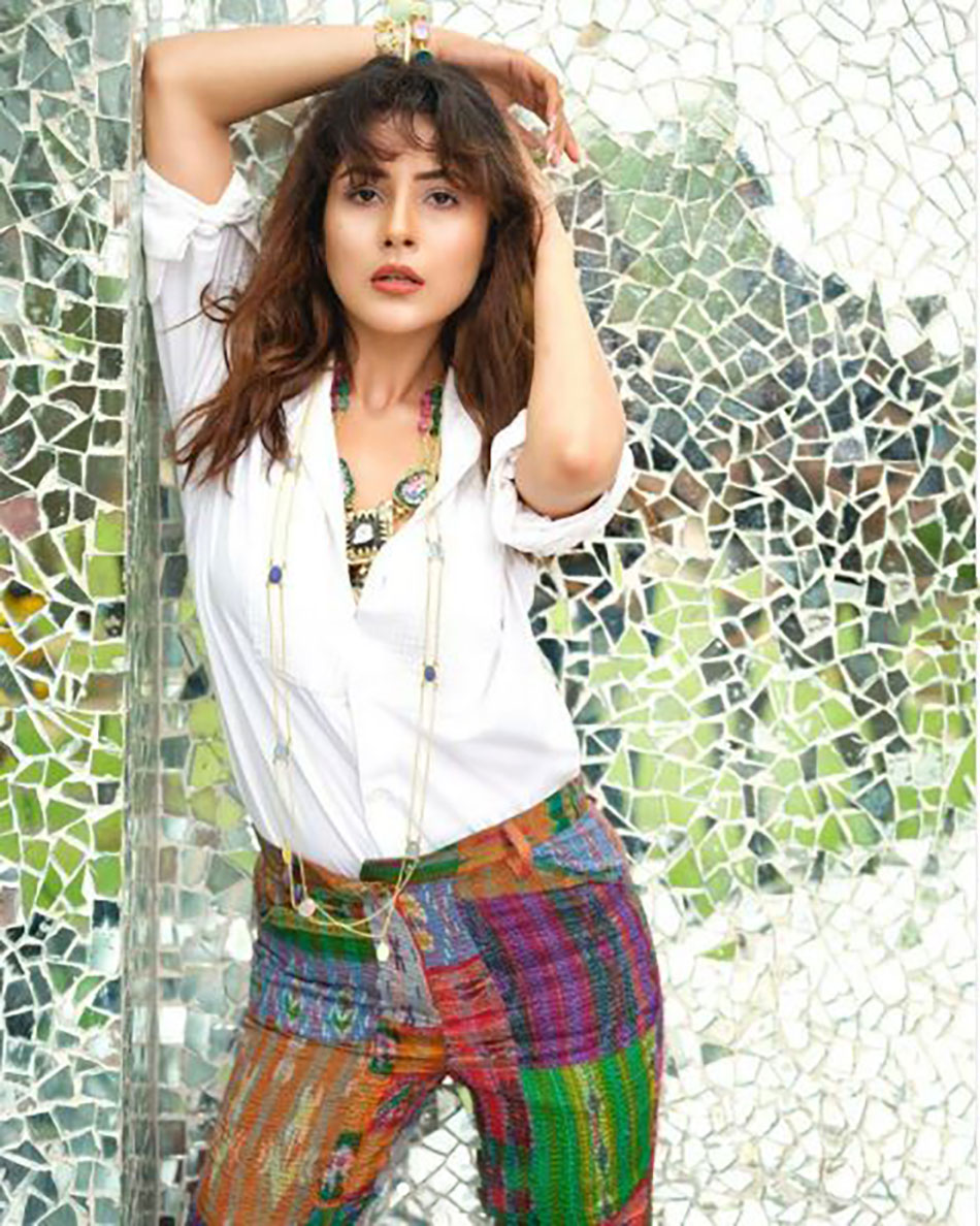 शहनाज गिल 