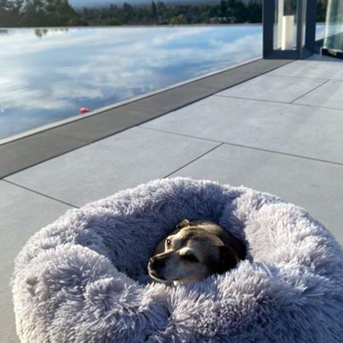 प्रियंका चोपड़ा-निक जोनस होम