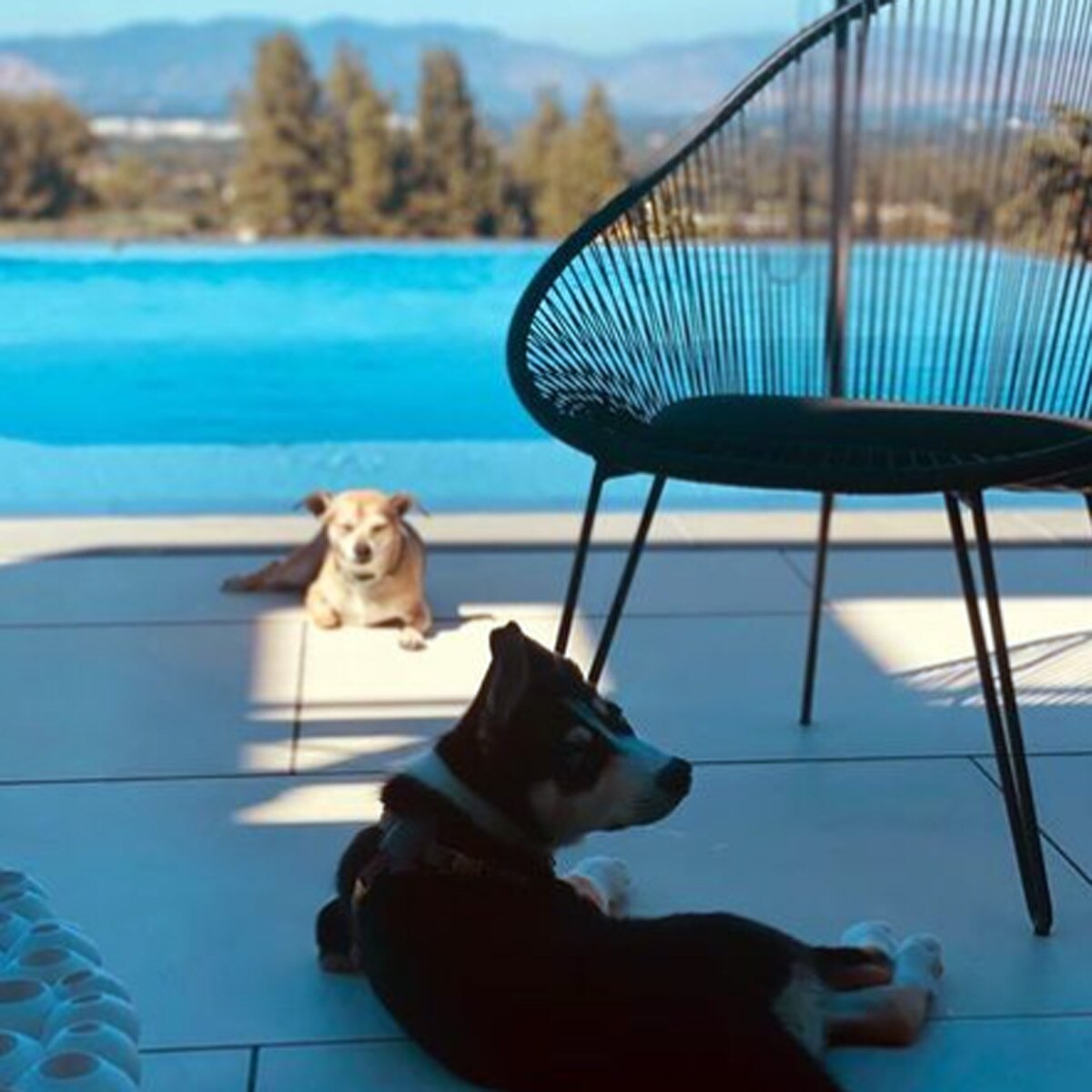 प्रियंका चोपड़ा-निक जोनस होम