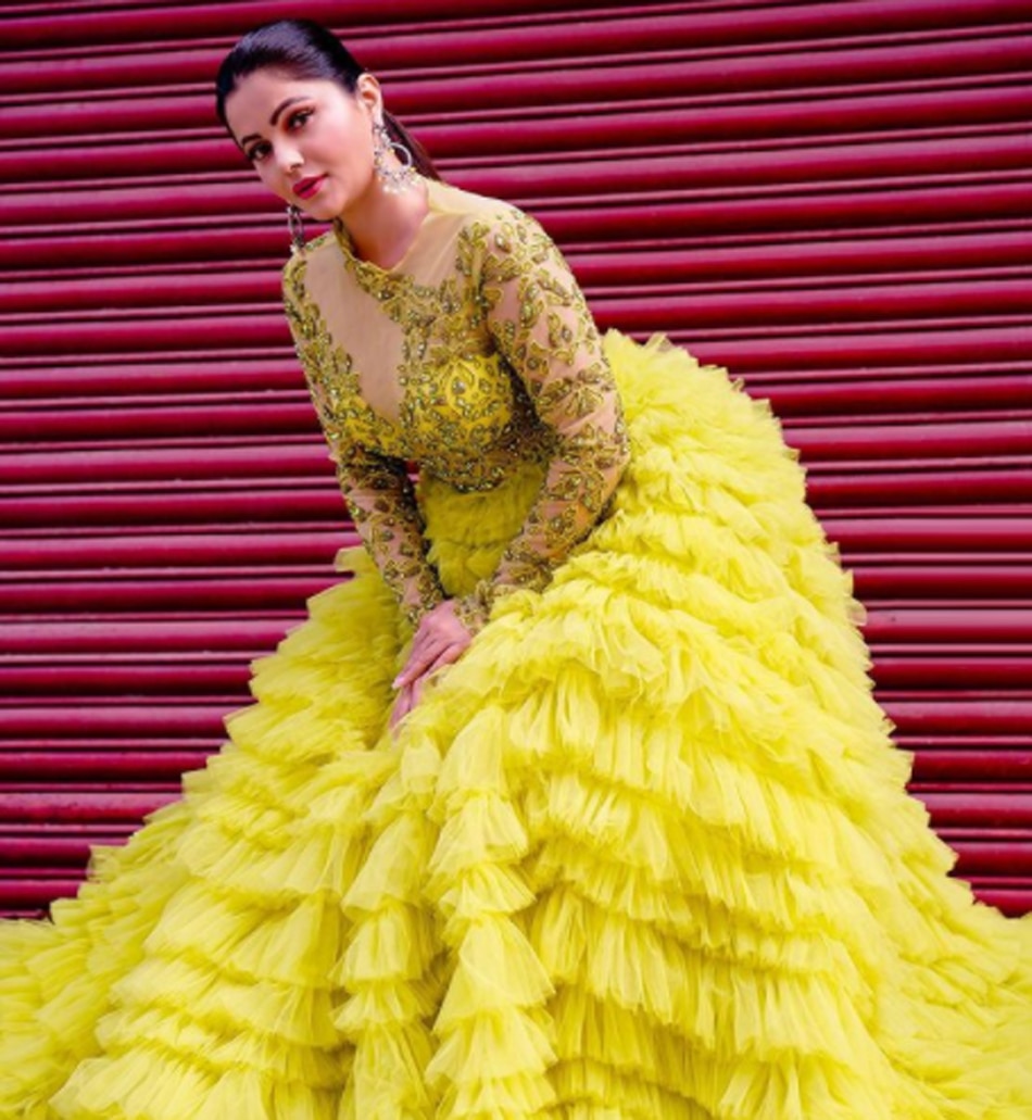 रुबीना दिलैक