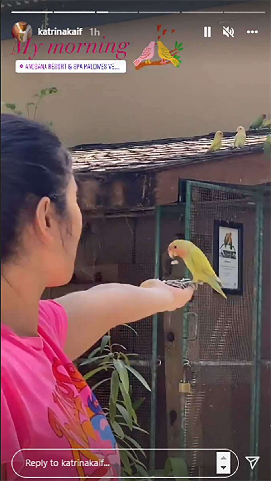 कटरीना कैफ