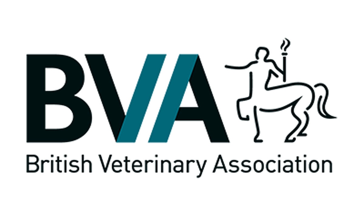 Dogs Mystery illness