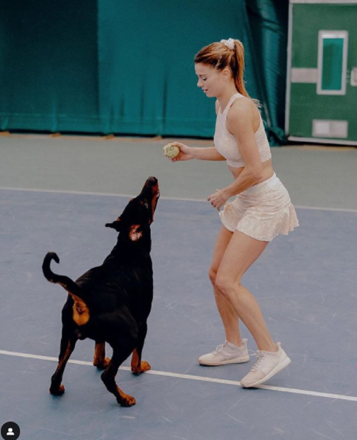  Camila Giorgi photos