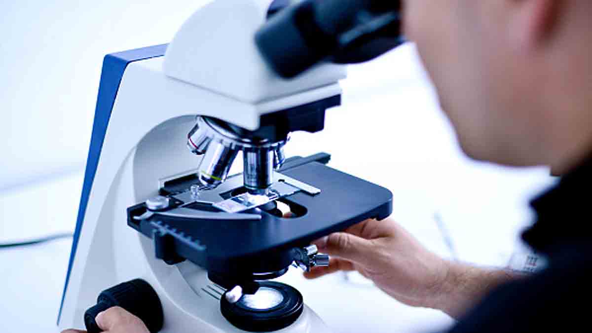 Cell Cheats own death