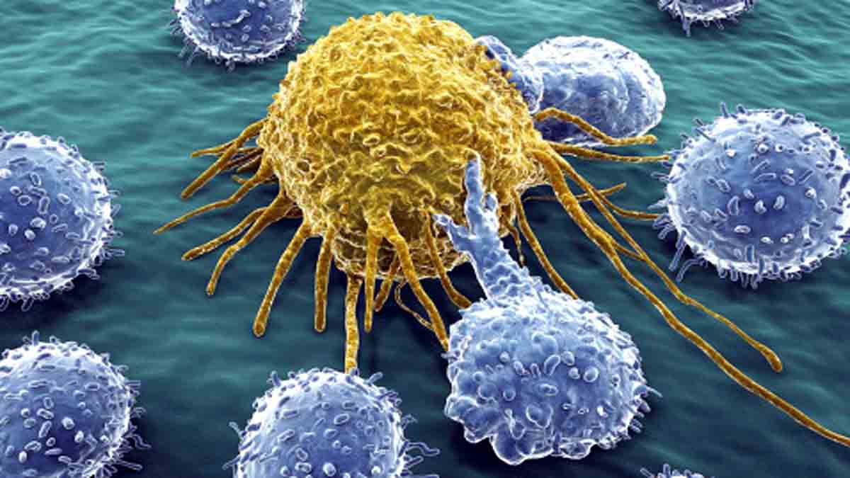 Cell Cheats own death