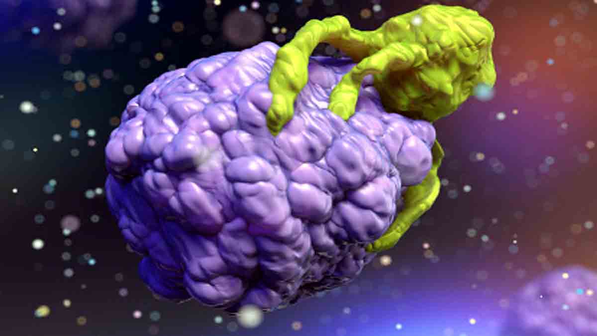 Cell Cheats own death