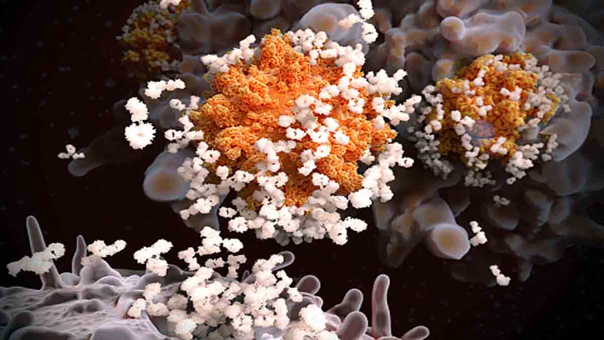 Cell Cheats own death