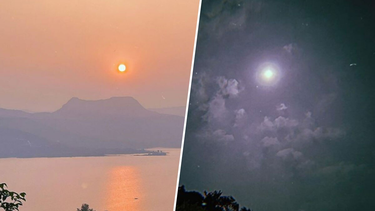 जाह्नवी कपूर