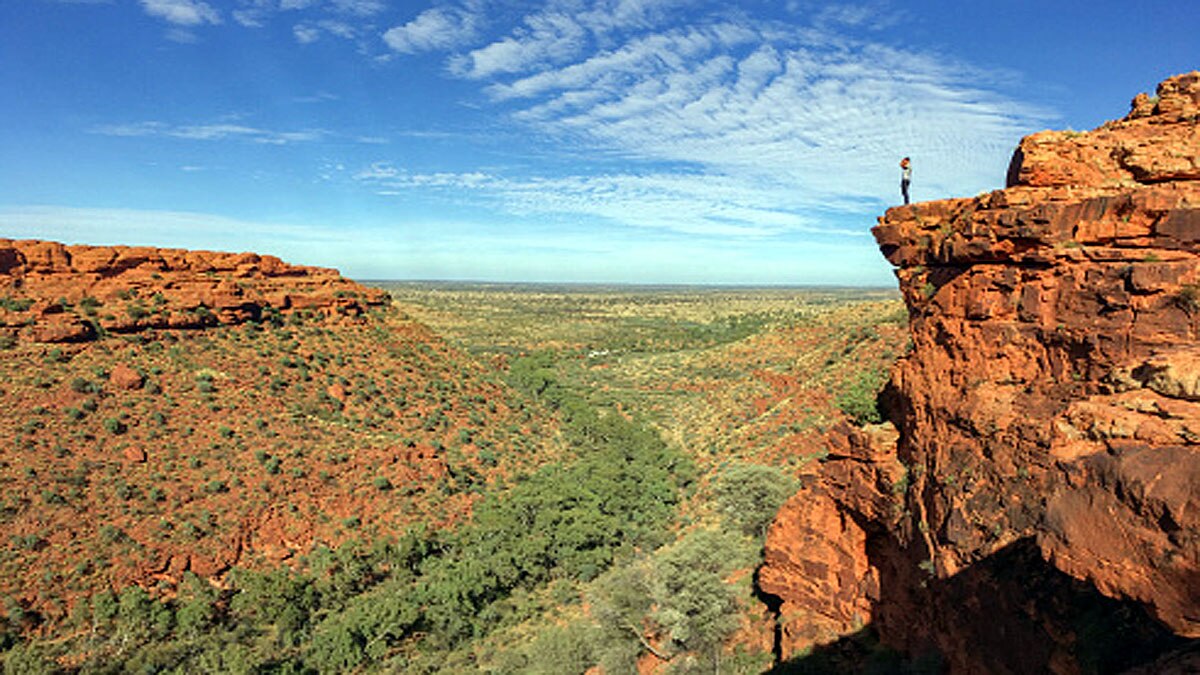 rainbow fish in desert 