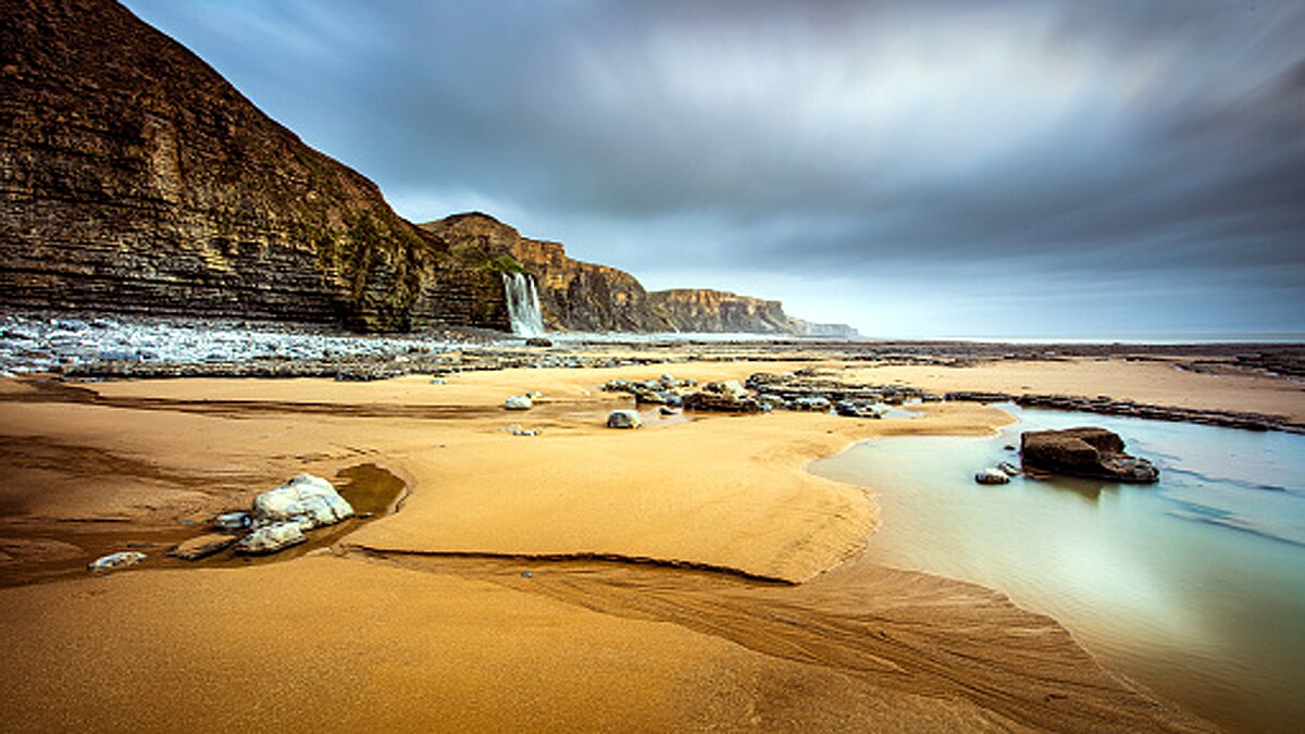 rare dinosaur footprints