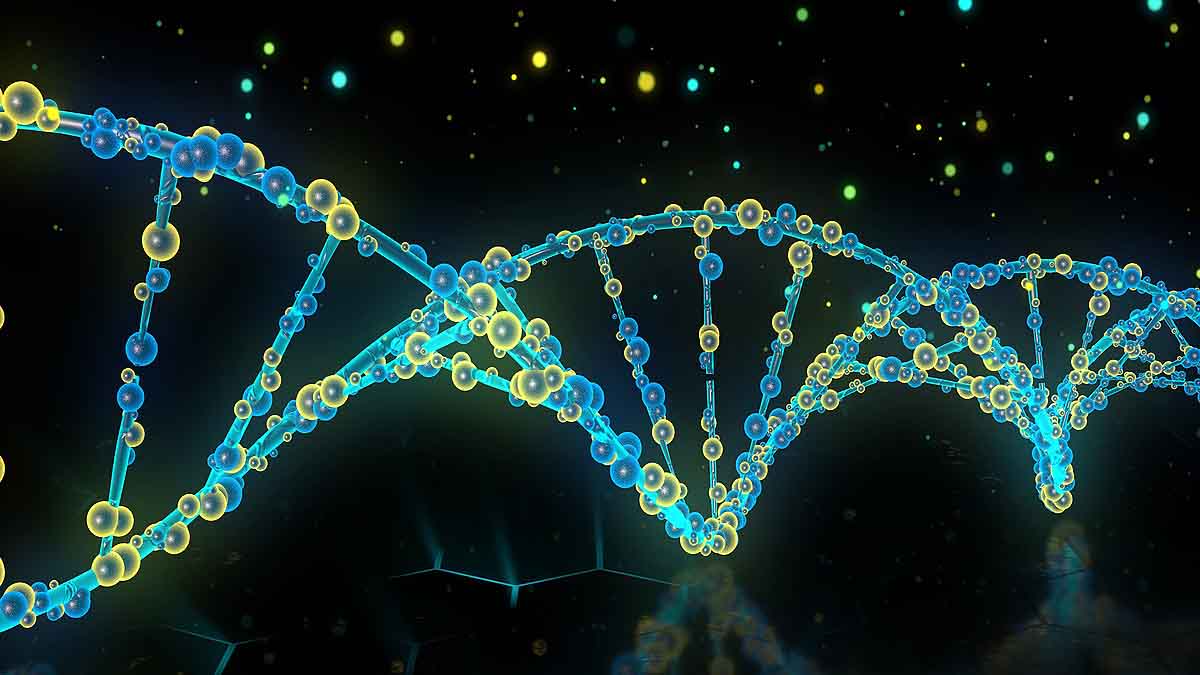 Jeff Bezos Defeat Death Ageing