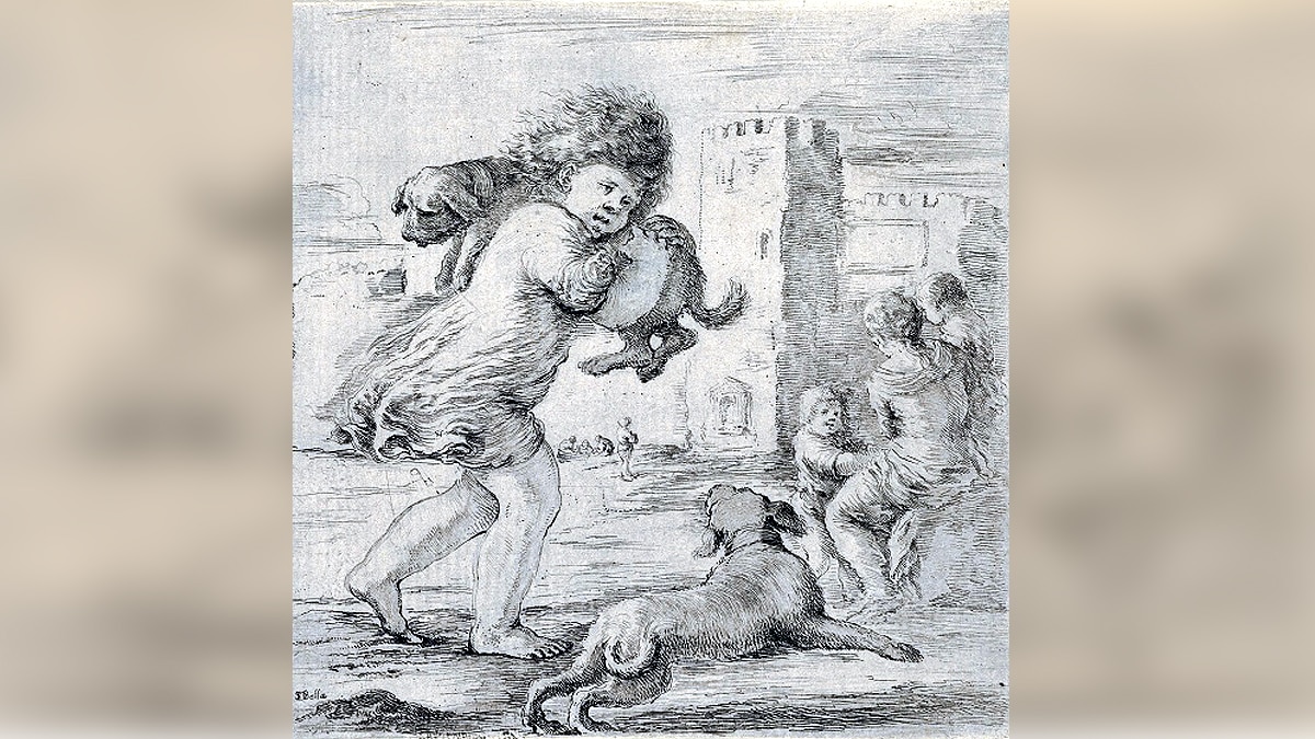 Dog Domestication