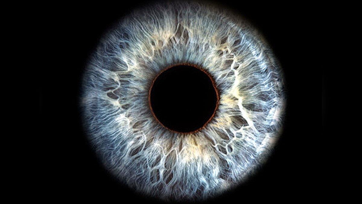 retinal scan risk of death