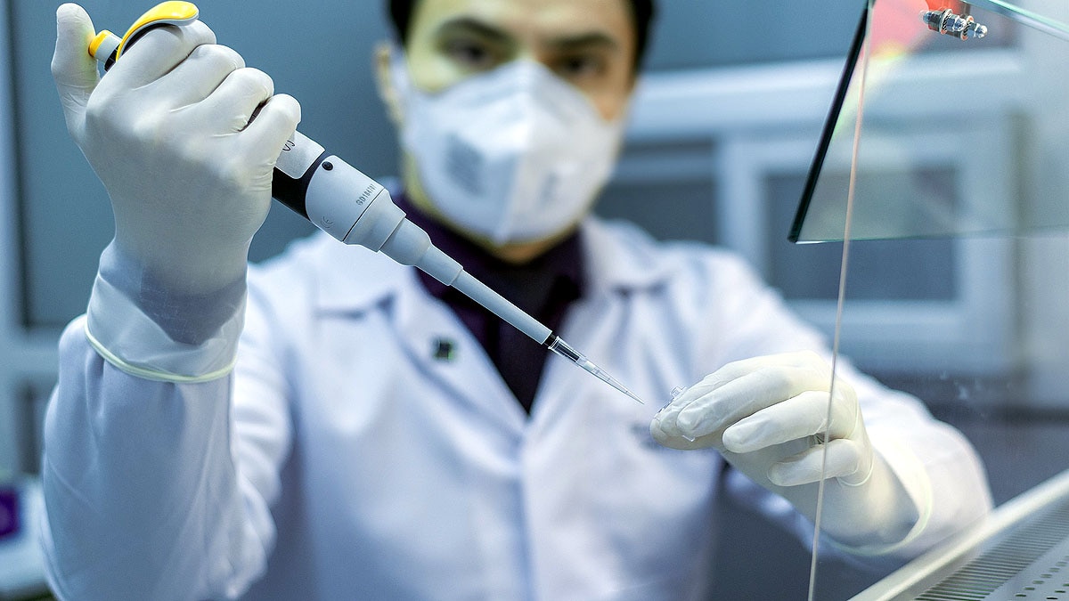 frog leg regrown 5 drug cocktail