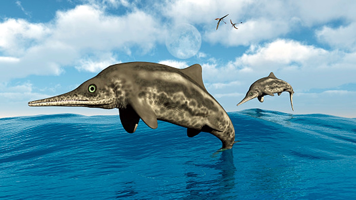 Giant Sea Dragon Ichthyosaur 