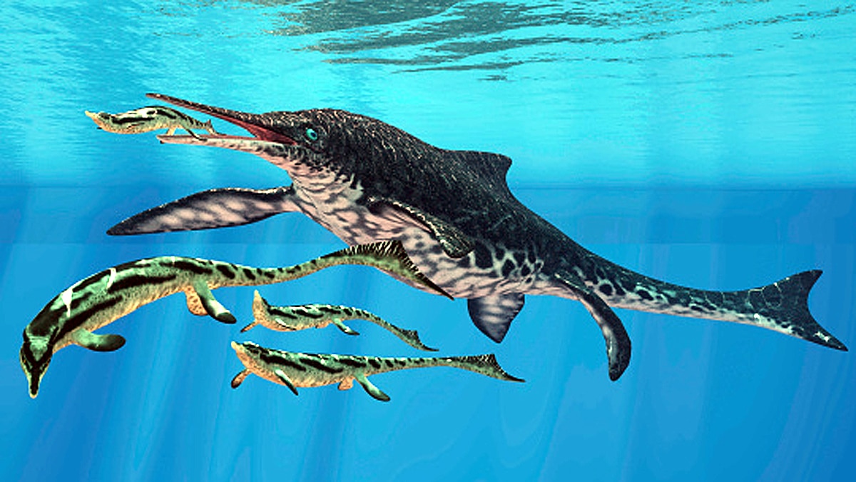 Giant Sea Dragon Ichthyosaur 