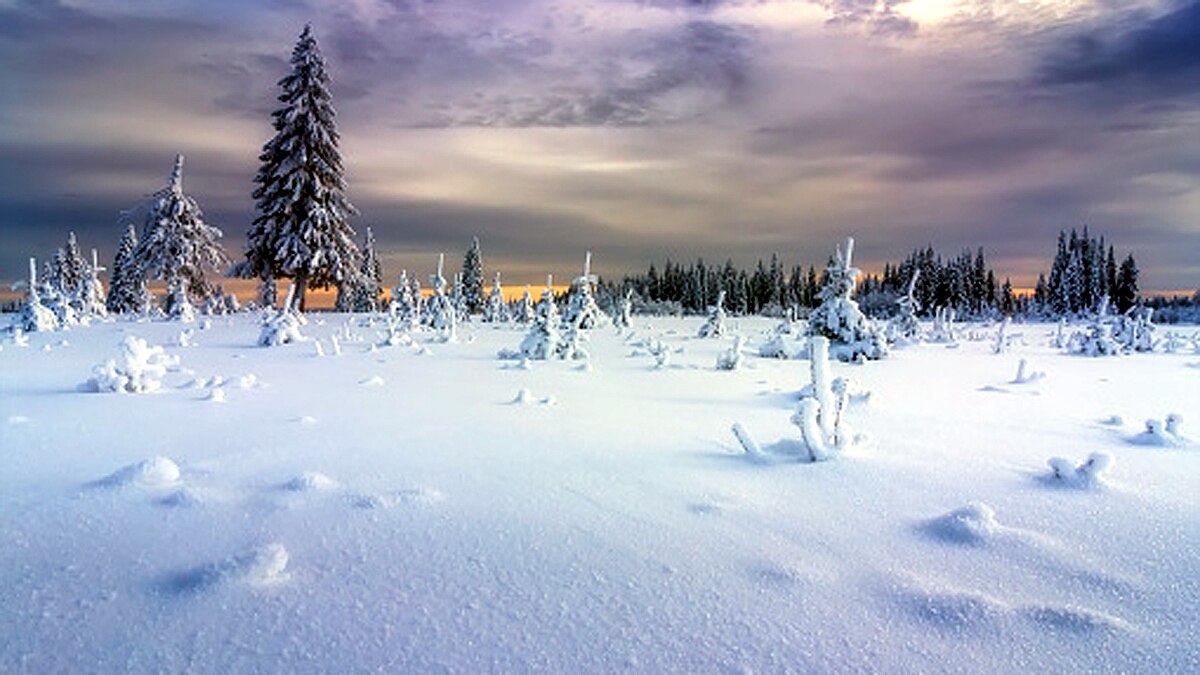 Glowing Snow in Russian Arctic