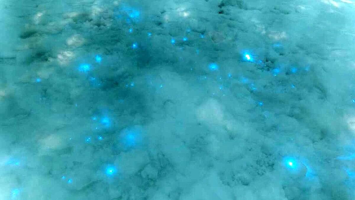 Glowing Snow in Russian Arctic