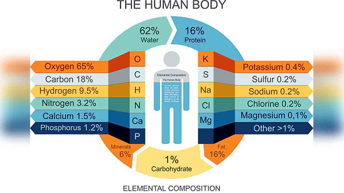 Proteins first life on earth