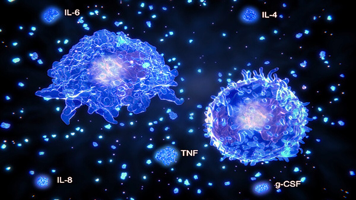 omicron killer immune cells
