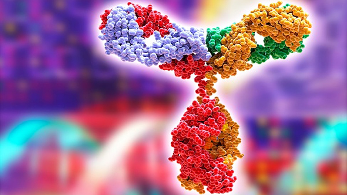 omicron killer immune cells