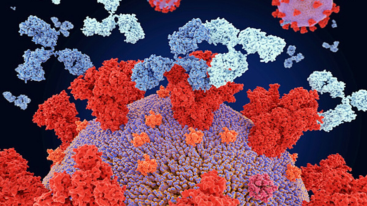 omicron killer immune cells