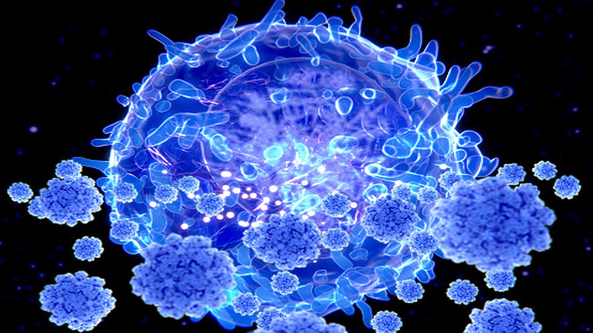 omicron killer immune cells