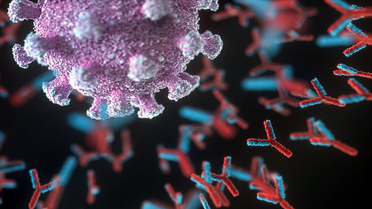 omicron killer immune cells