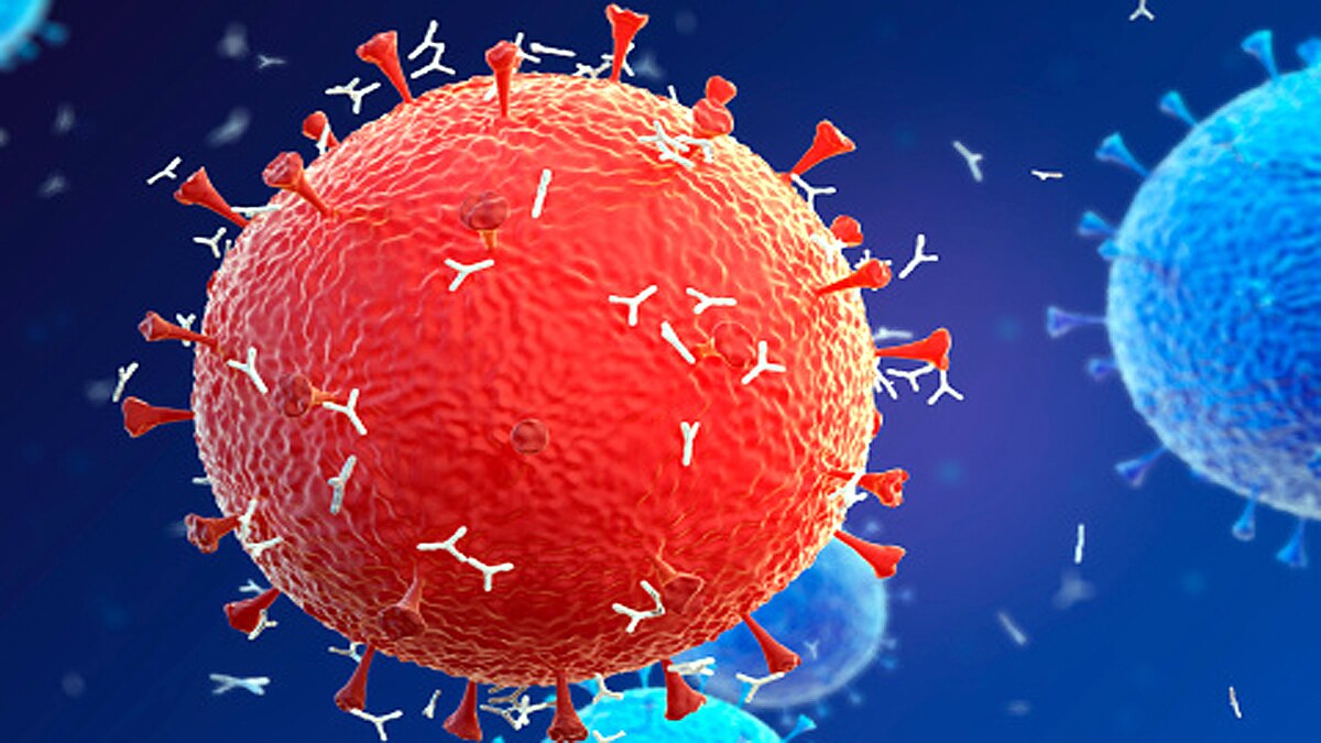 omicron killer immune cells