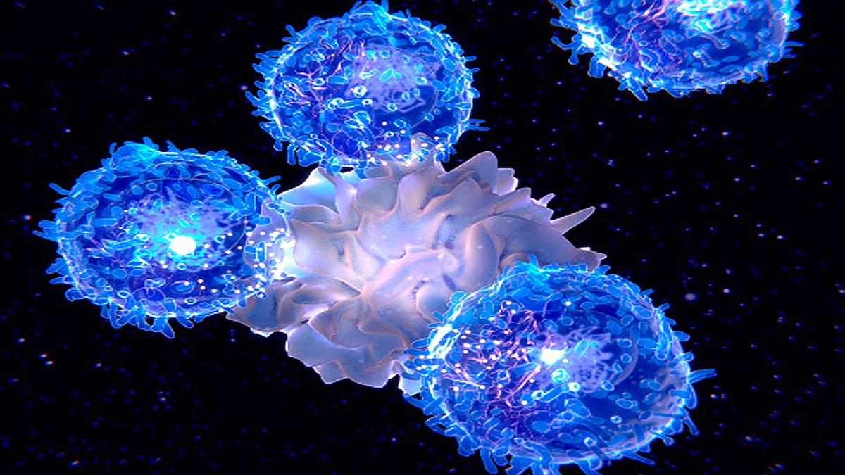 omicron killer immune cells