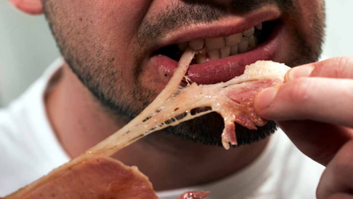 Evolution of Human Diet