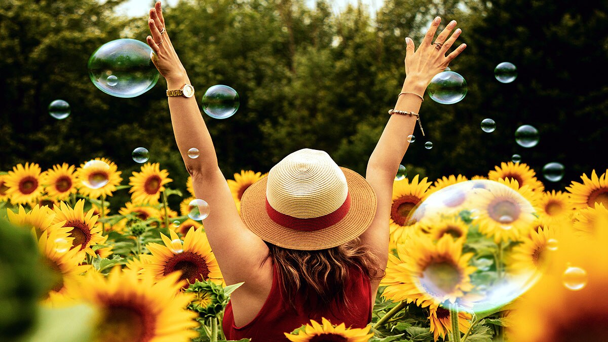 More Money More Happiness