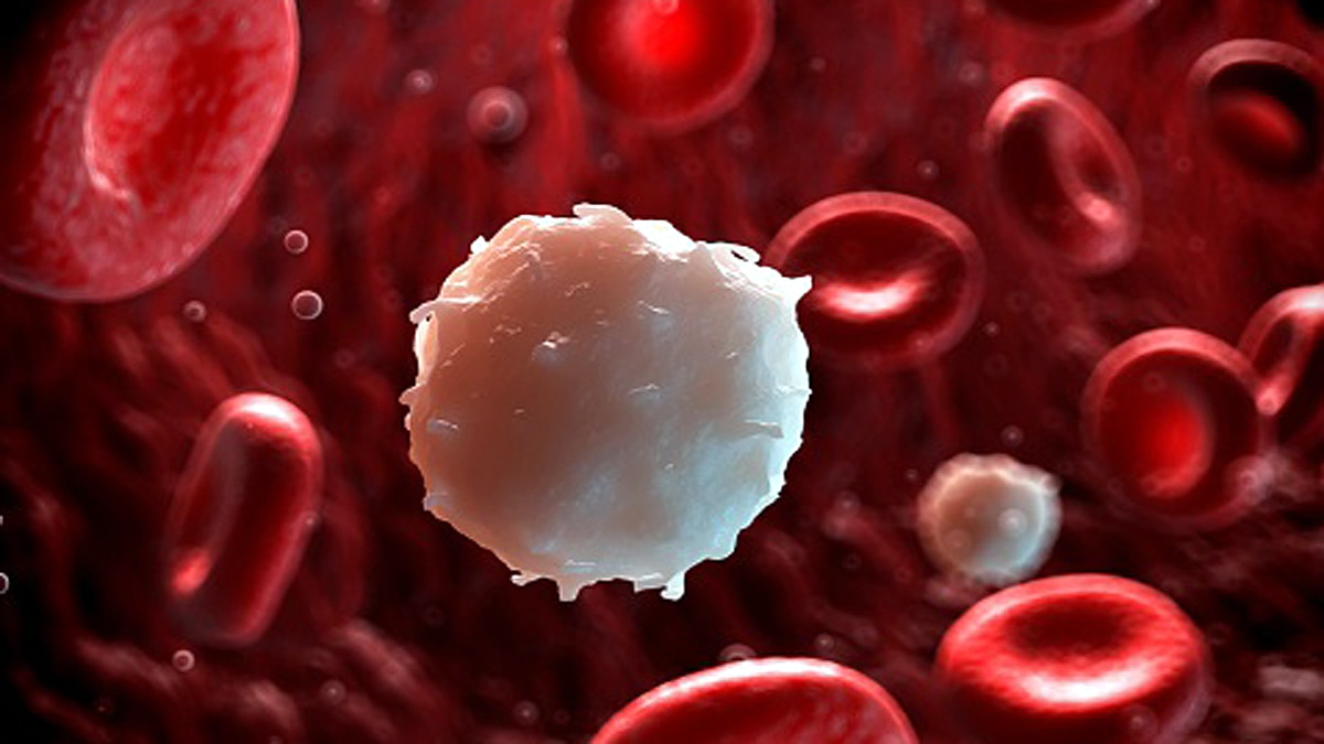 T-cell immunity against Omicron
