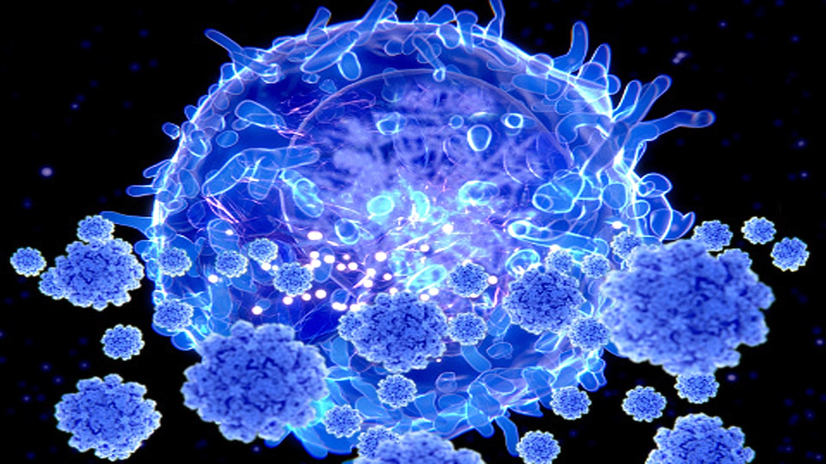 T-cell immunity against Omicron