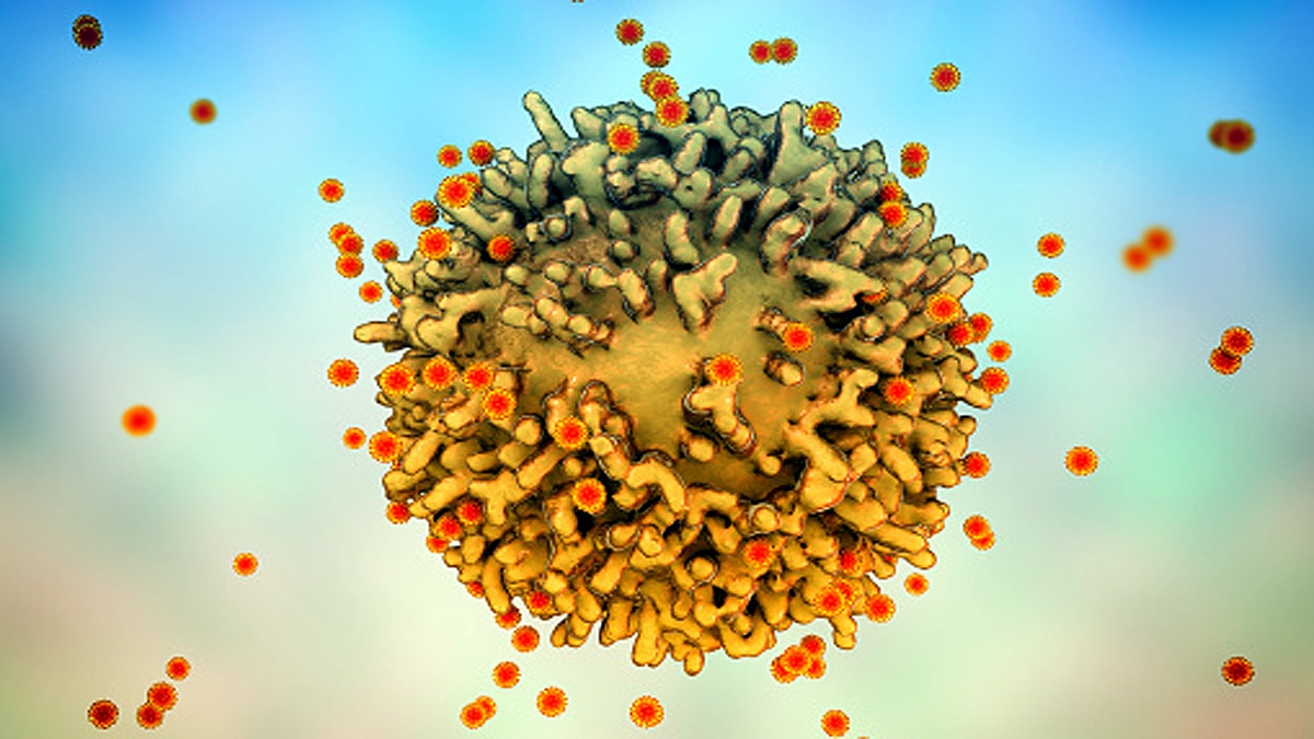 T-cell immunity against Omicron