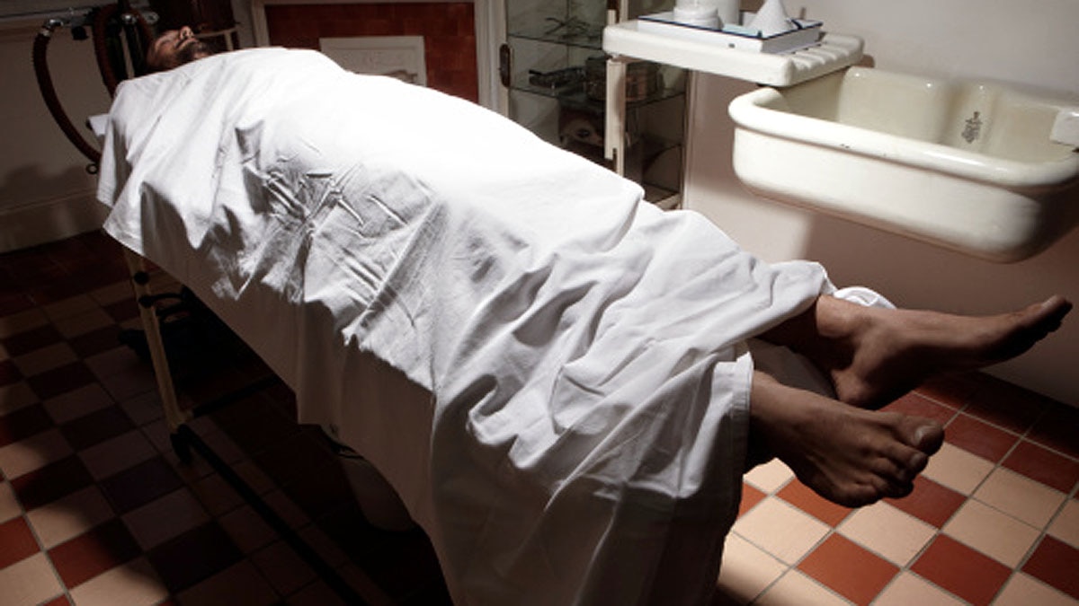 pig kidney transplant 