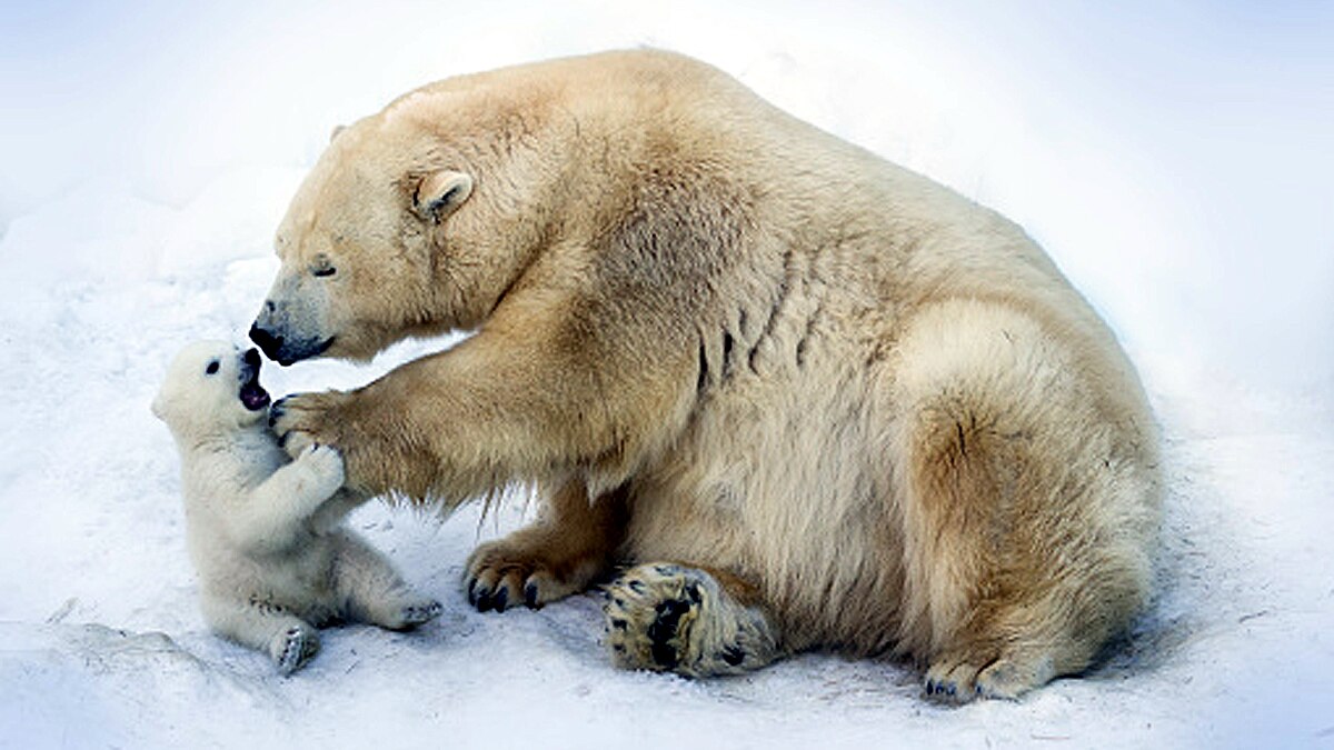 Year 2021 Warmest Year