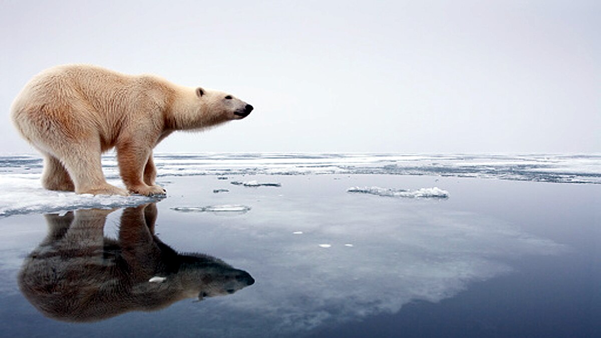 Year 2021 Warmest Year