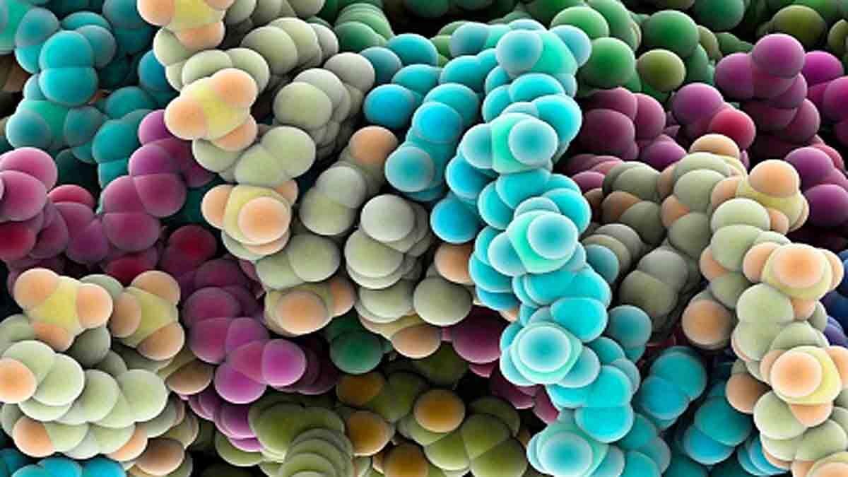 Proteins enabled first life on earth may discovered 