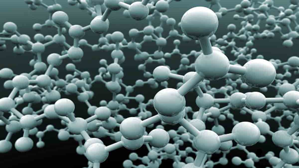 Proteins first life on earth