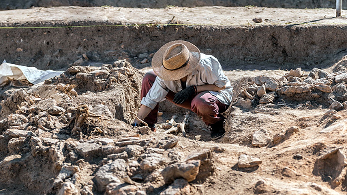 Roman gladiator Arena Un-earthed