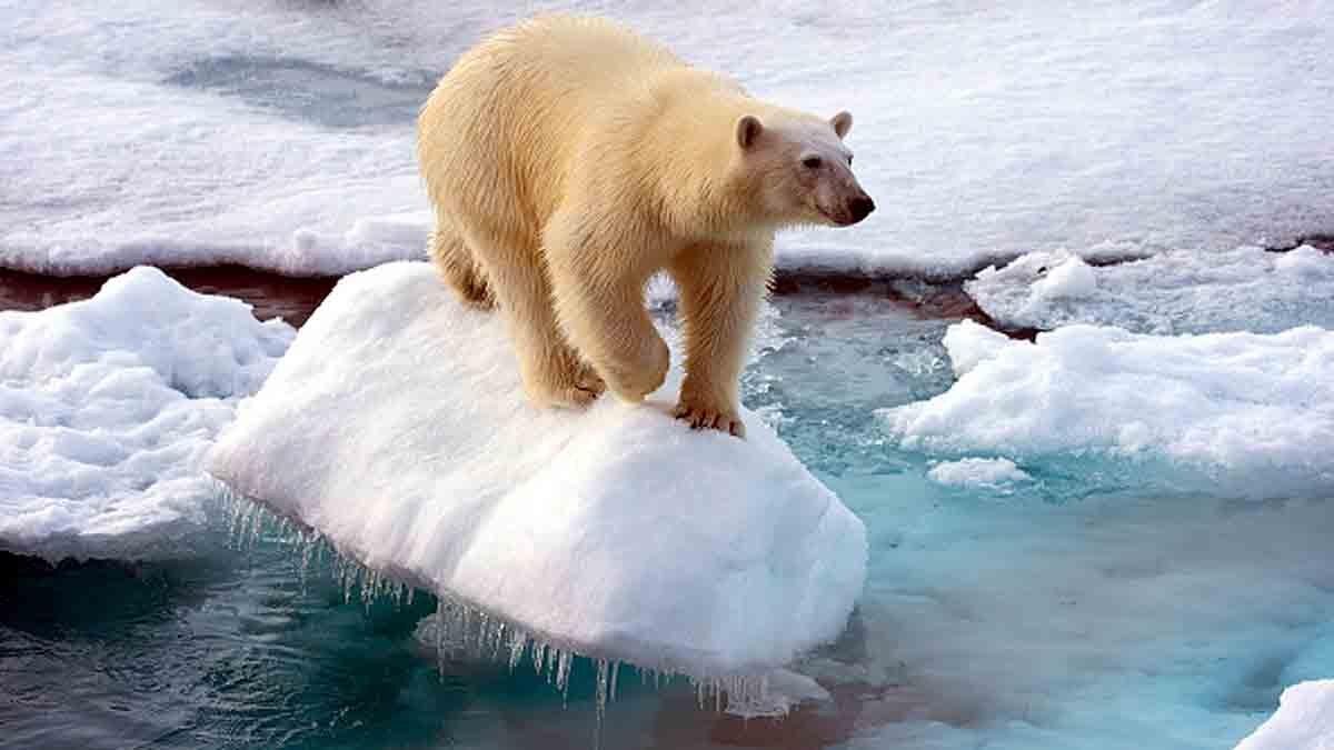 year 2021 hot like 30 atomic bomb explosion every second