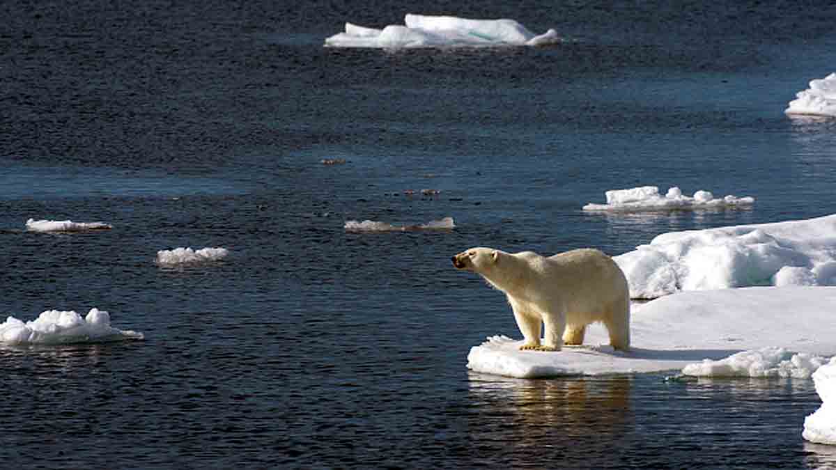 Year 2021 Warmest Year