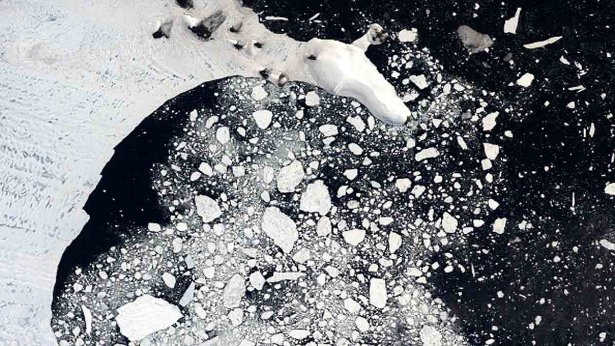 Year 2021 Warmest Year