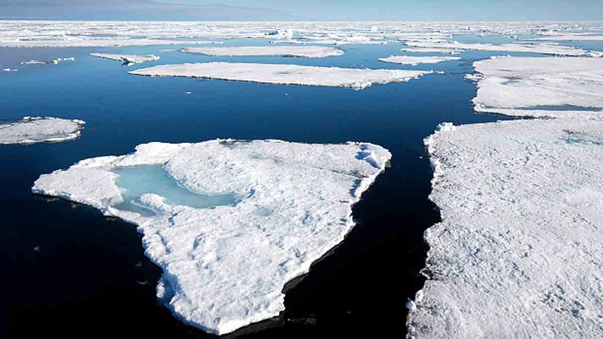 Year 2021 Warmest Year